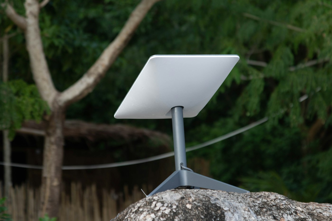 Antenne Starlink posée sur un rocher